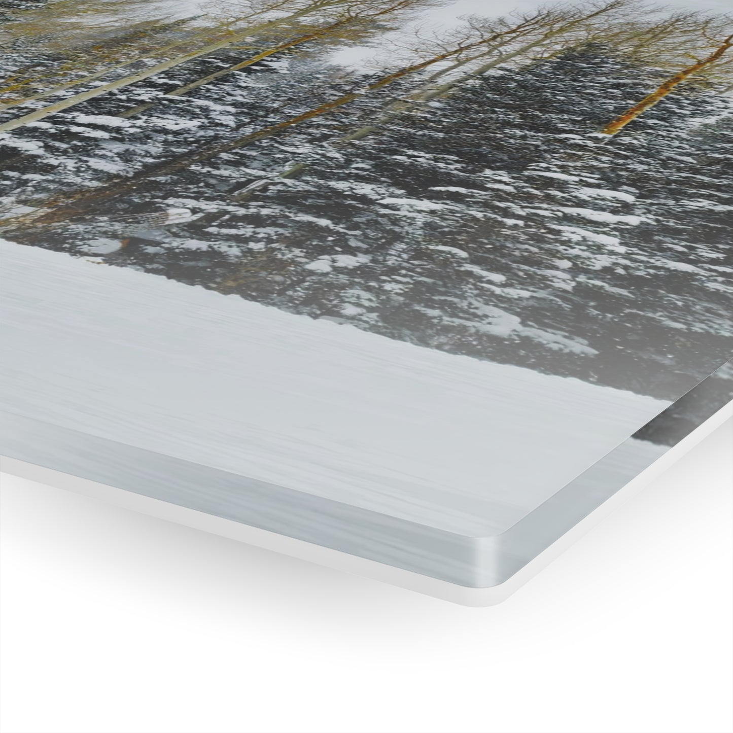 Acrylic Art - Forest Winterscape