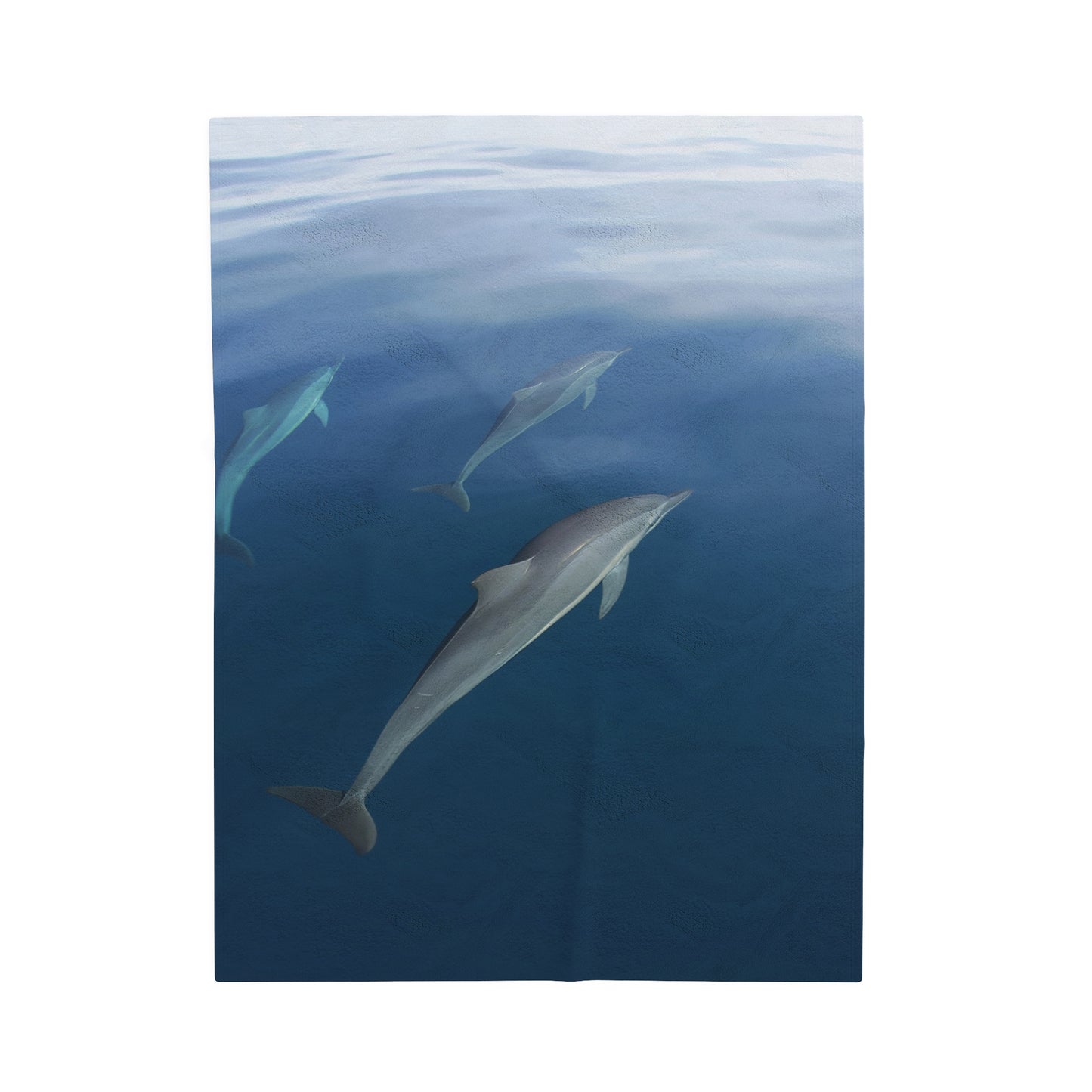 Blanket Velveteen Plush - Dolphins (Fiji)