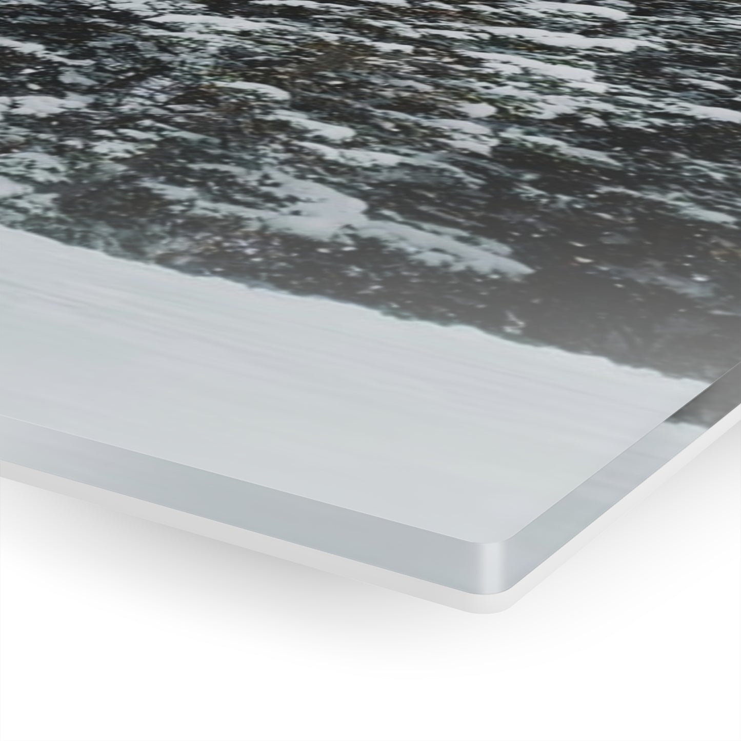 Acrylic Art - Forest Winterscape