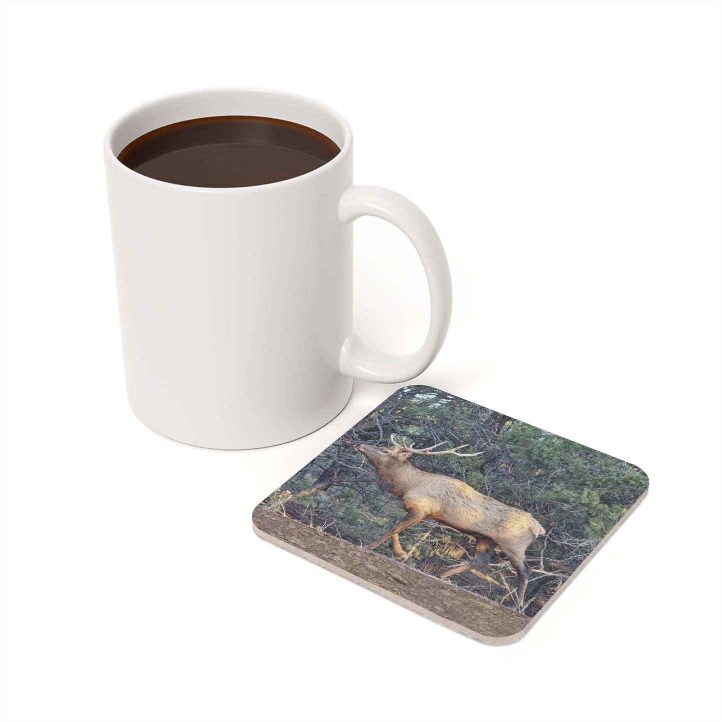 Coaster - Elk