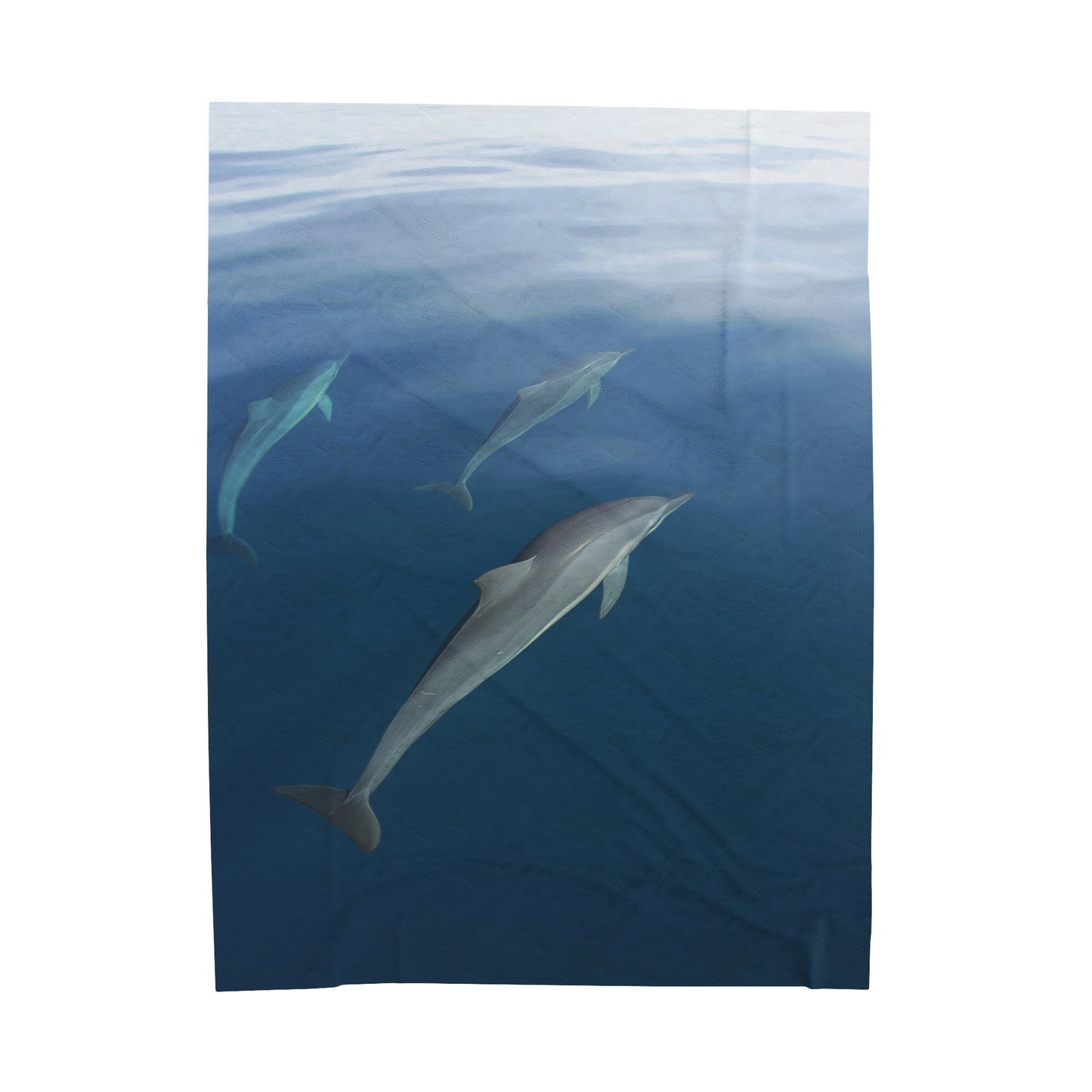 Blanket Velveteen Plush - Dolphins (Fiji)