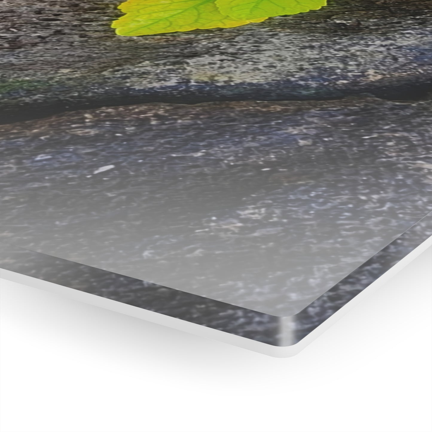 Acrylic Art - Hibiscus (Kauai)