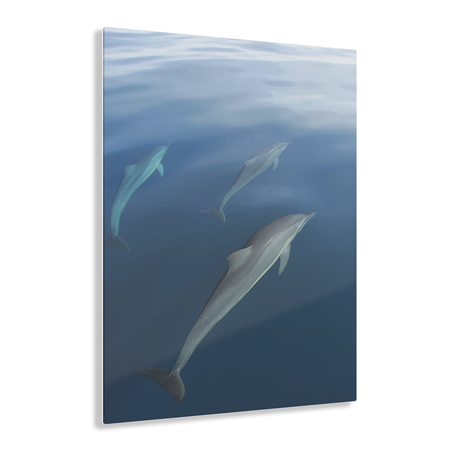 Acrylic Art - Dolphins (Fiji)