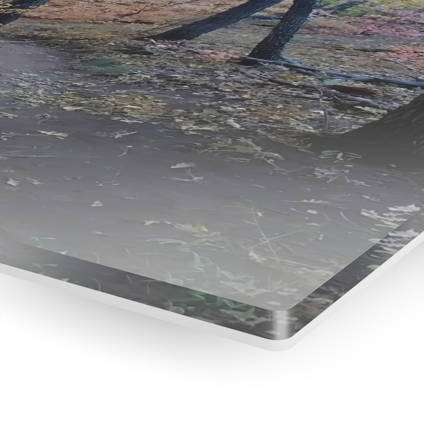 Acrylic Art - Boynton Canyon Trail (Sedona)