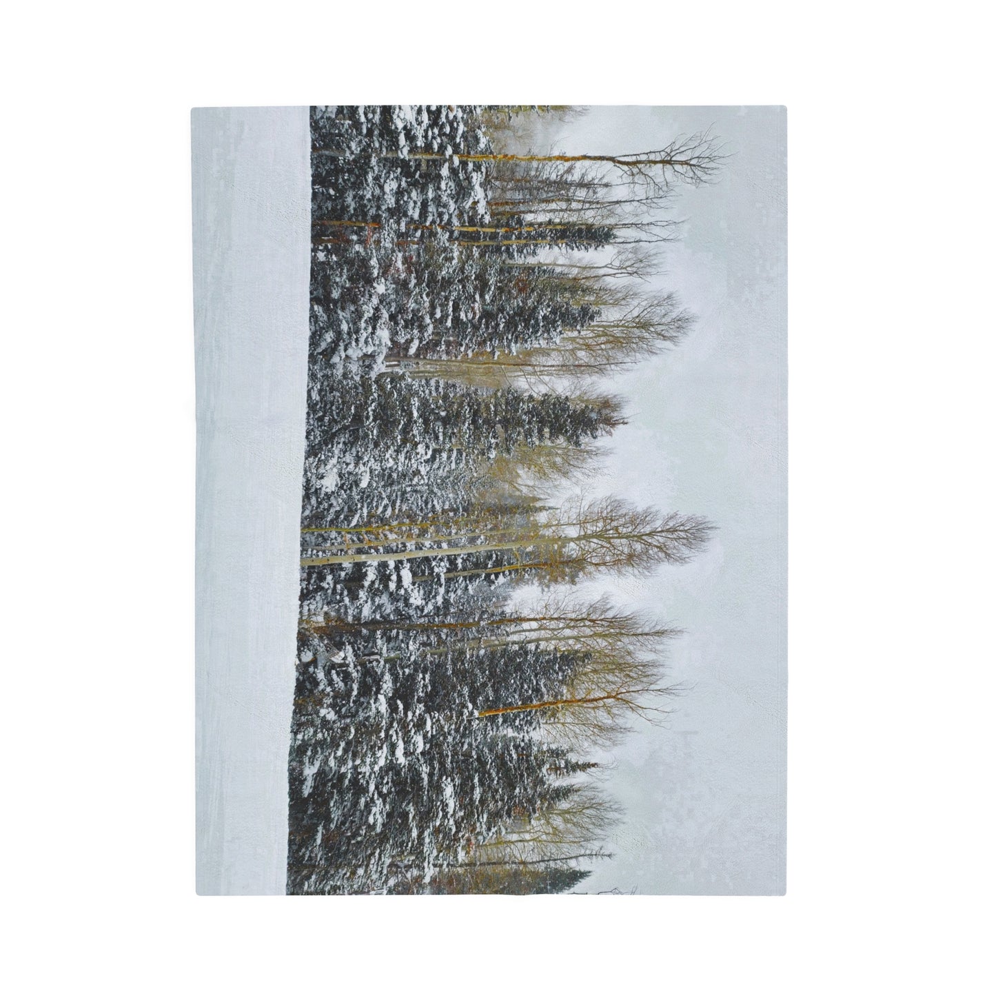 Blanket Velveteen Plush - Forest Winterscape