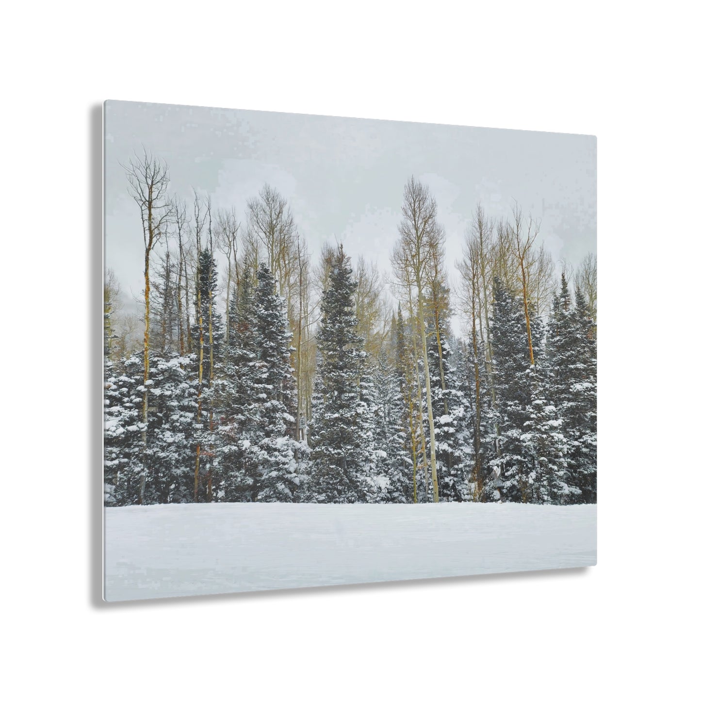 Acrylic Art - Forest Winterscape
