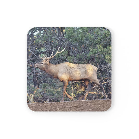 Coaster - Elk