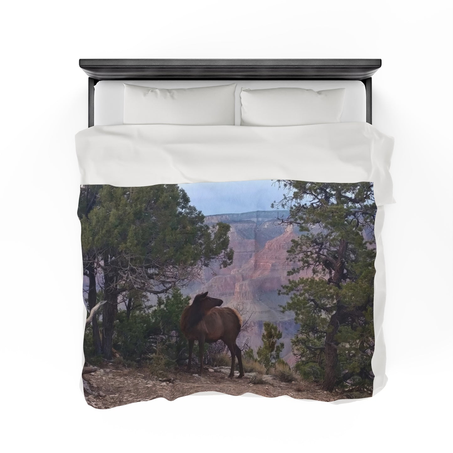Blanket Velveteen Plush - Elk on rim of Grand Canyon