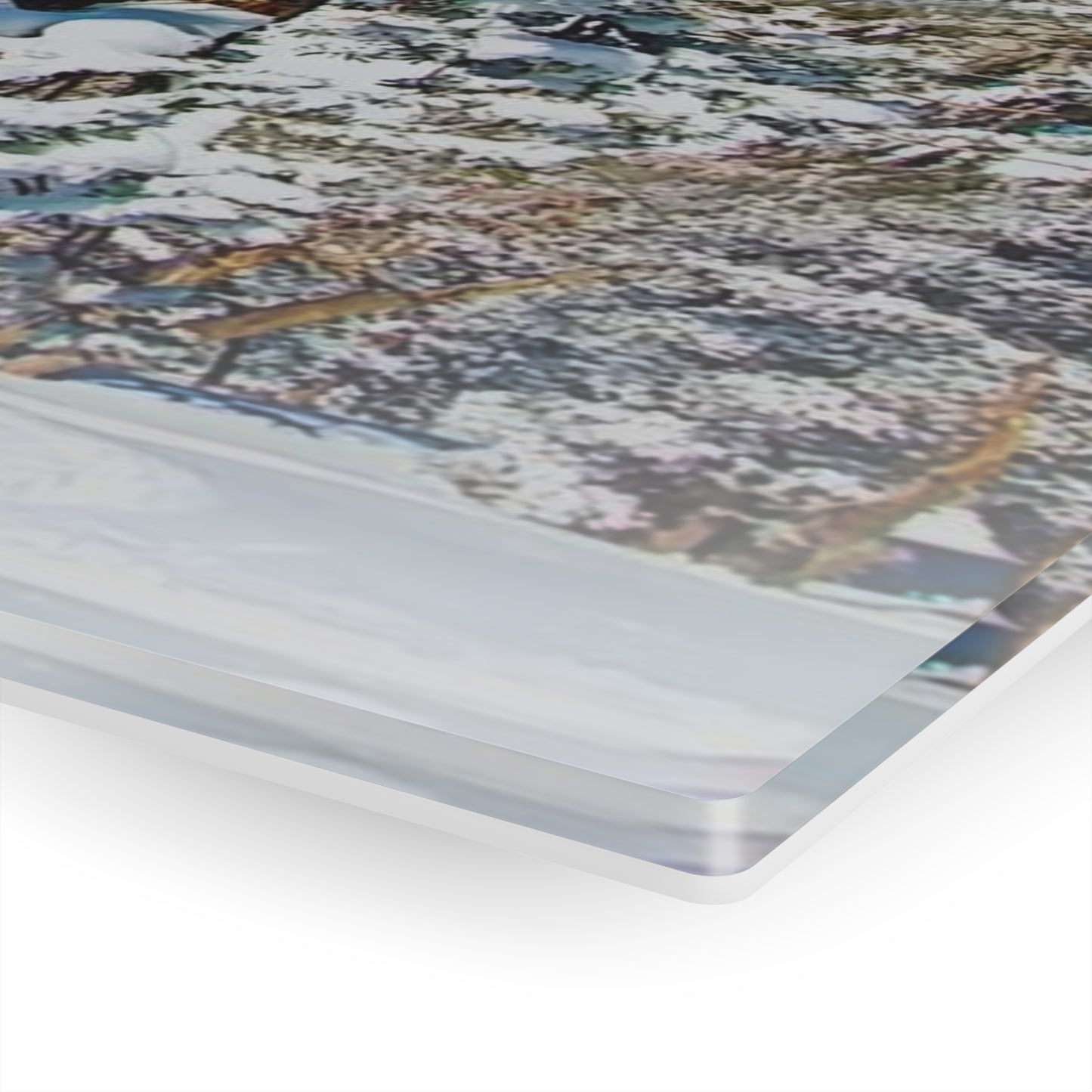 Acrylic Art - Lake Tahoe in Winter