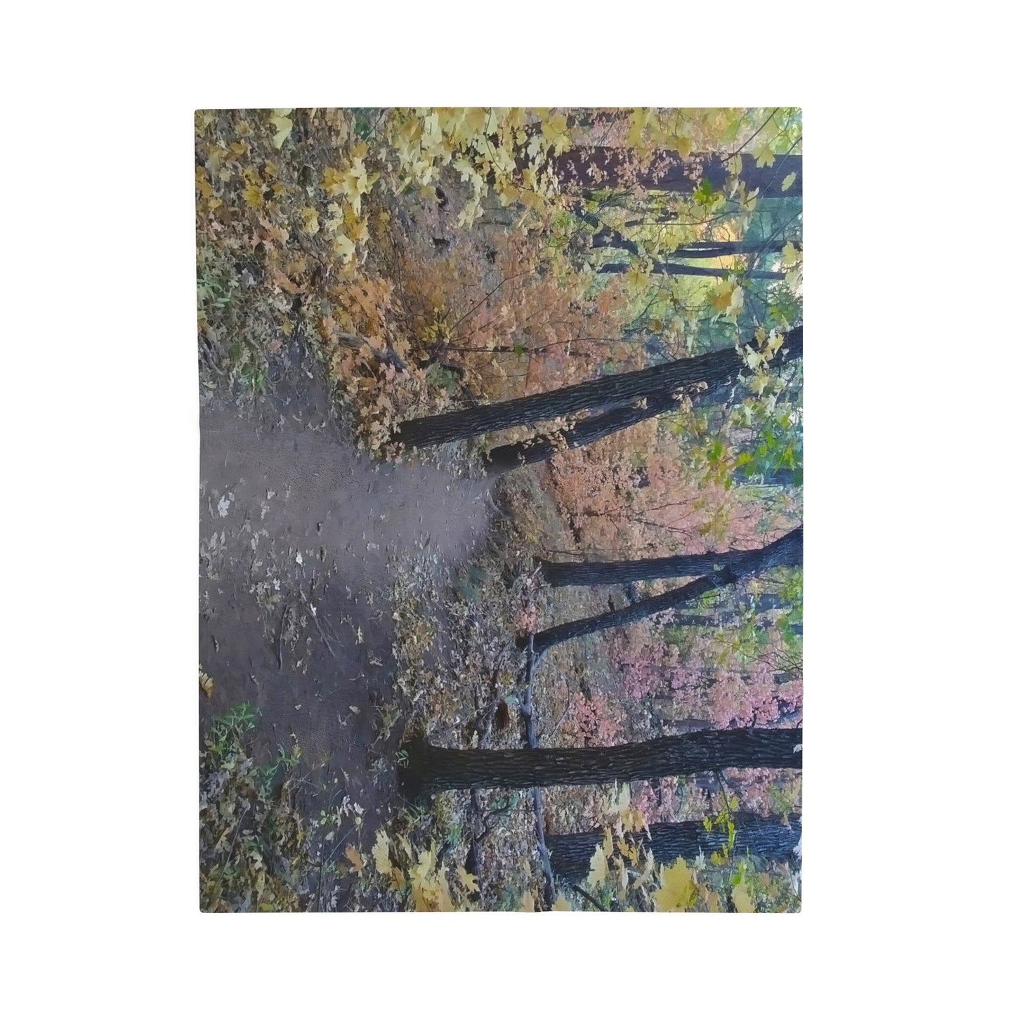 Blanket Velveteen Plush - Boynton Canyon trail (Sedona)