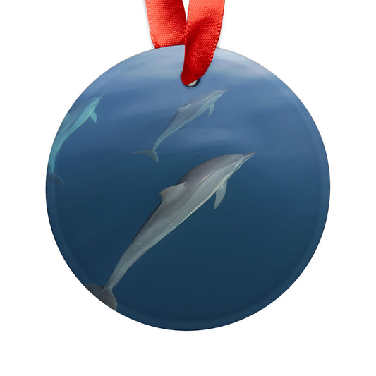 Holiday Acrylic Ornament - Dolphins