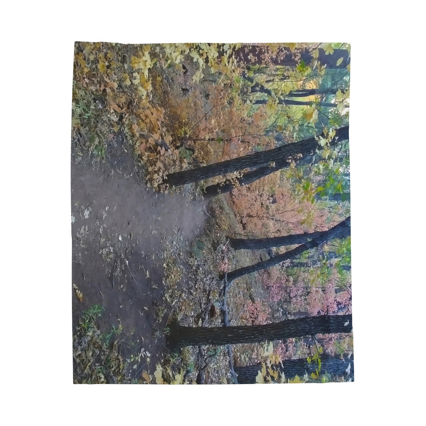 Blanket Velveteen Plush - Boynton Canyon trail (Sedona)