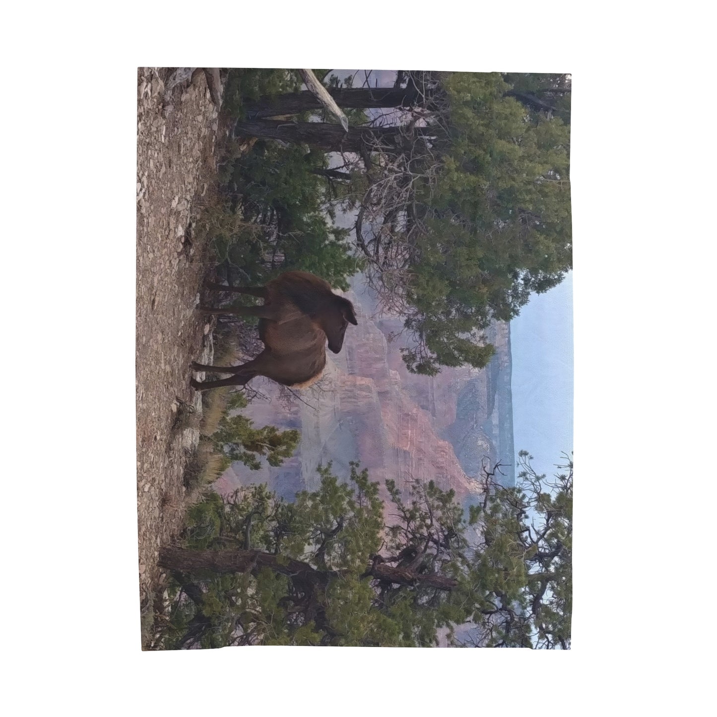 Blanket Velveteen Plush - Elk on rim of Grand Canyon
