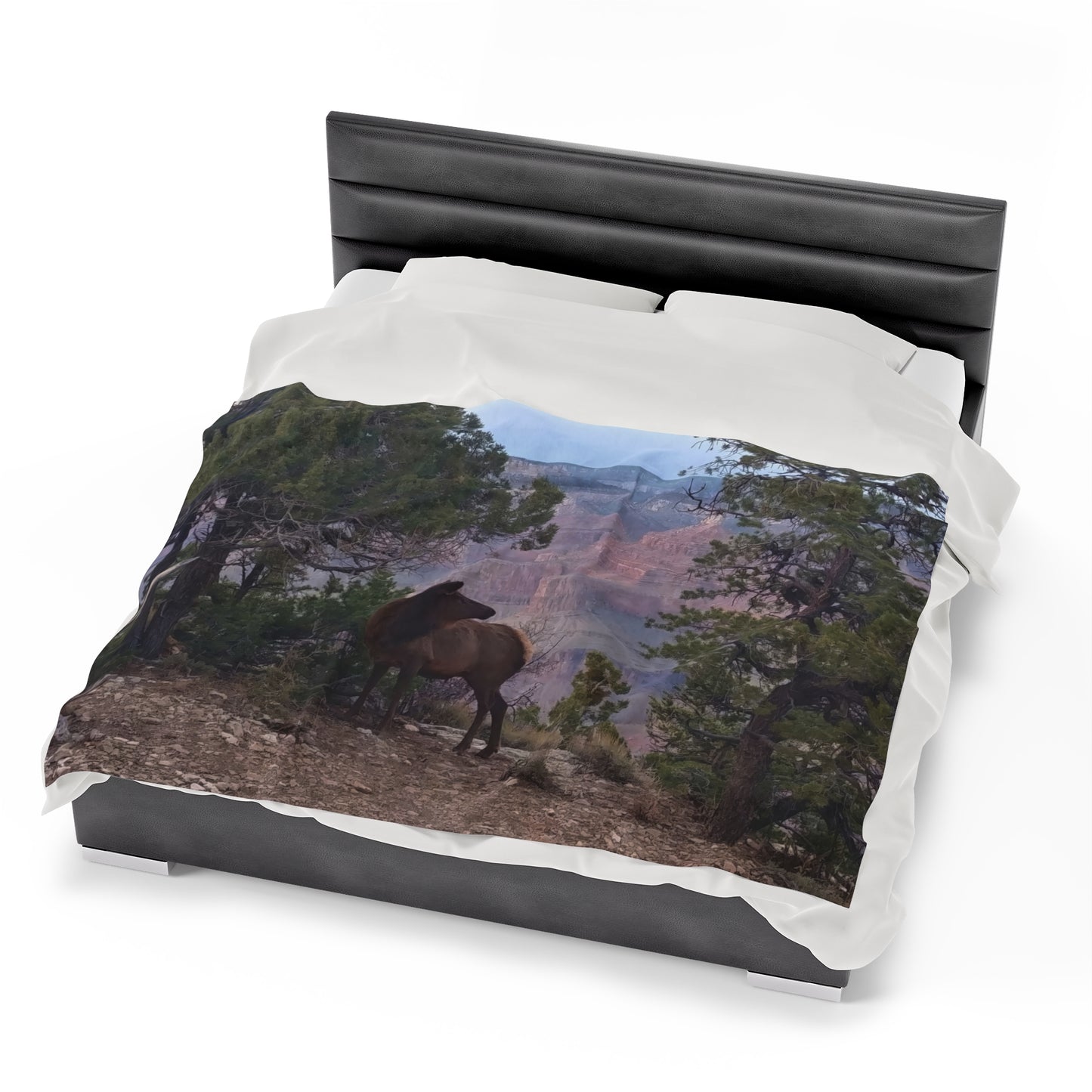 Blanket Velveteen Plush - Elk on rim of Grand Canyon
