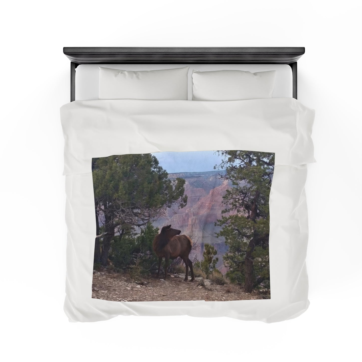 Blanket Velveteen Plush - Elk on rim of Grand Canyon