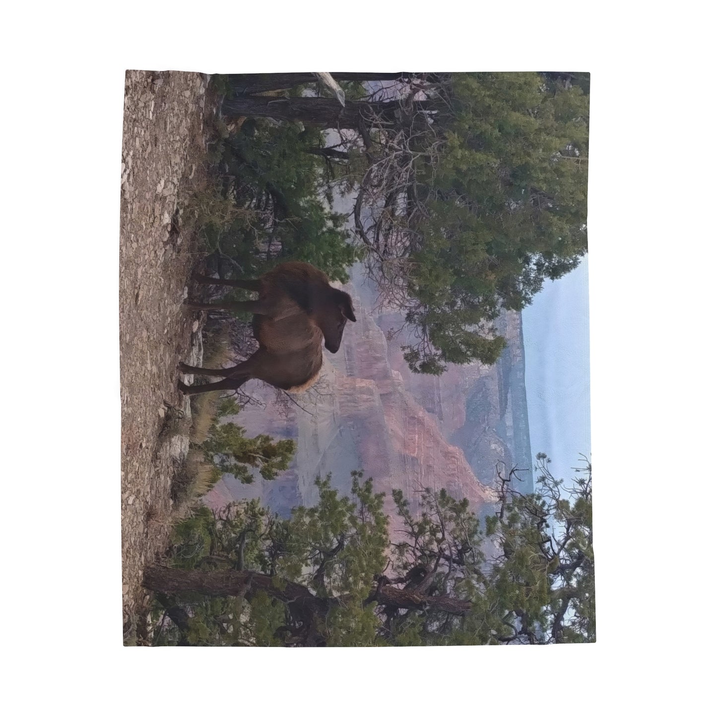 Blanket Velveteen Plush - Elk on rim of Grand Canyon