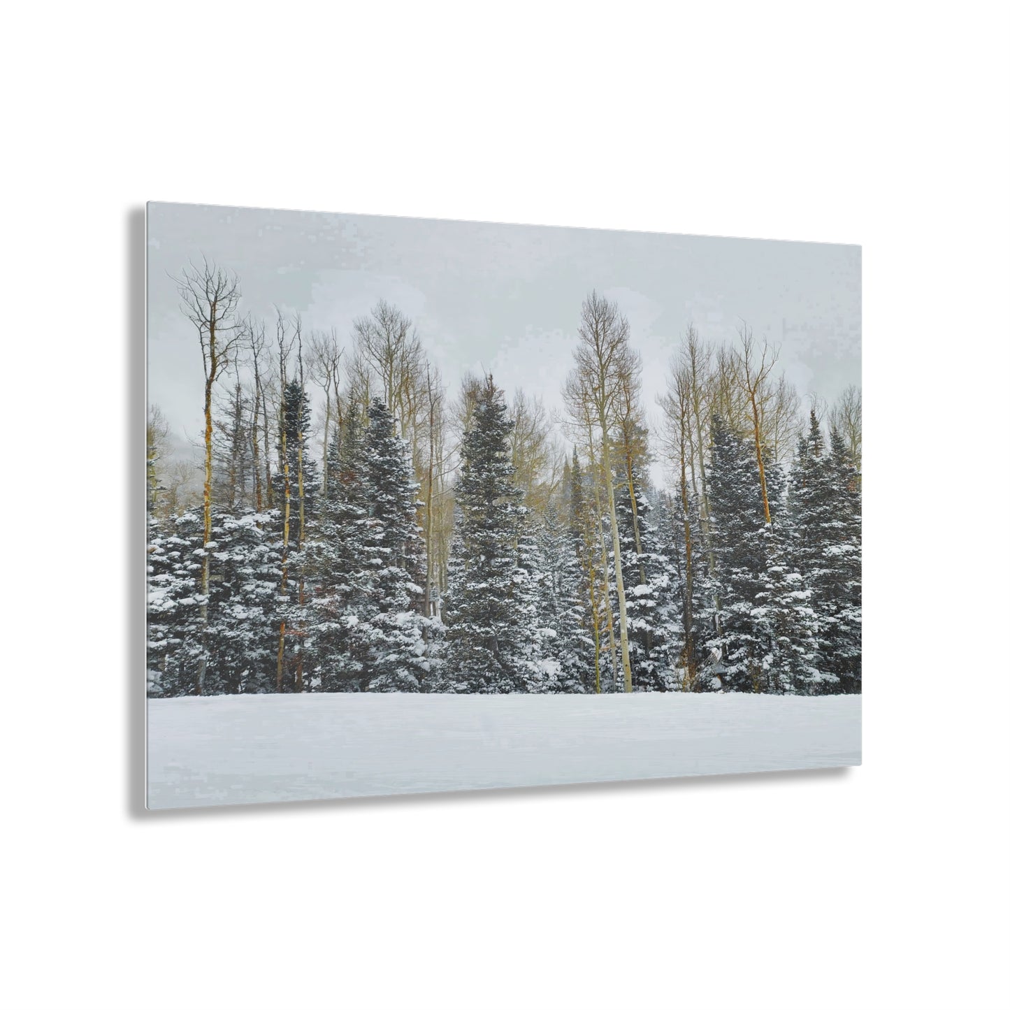 Acrylic Art - Forest Winterscape
