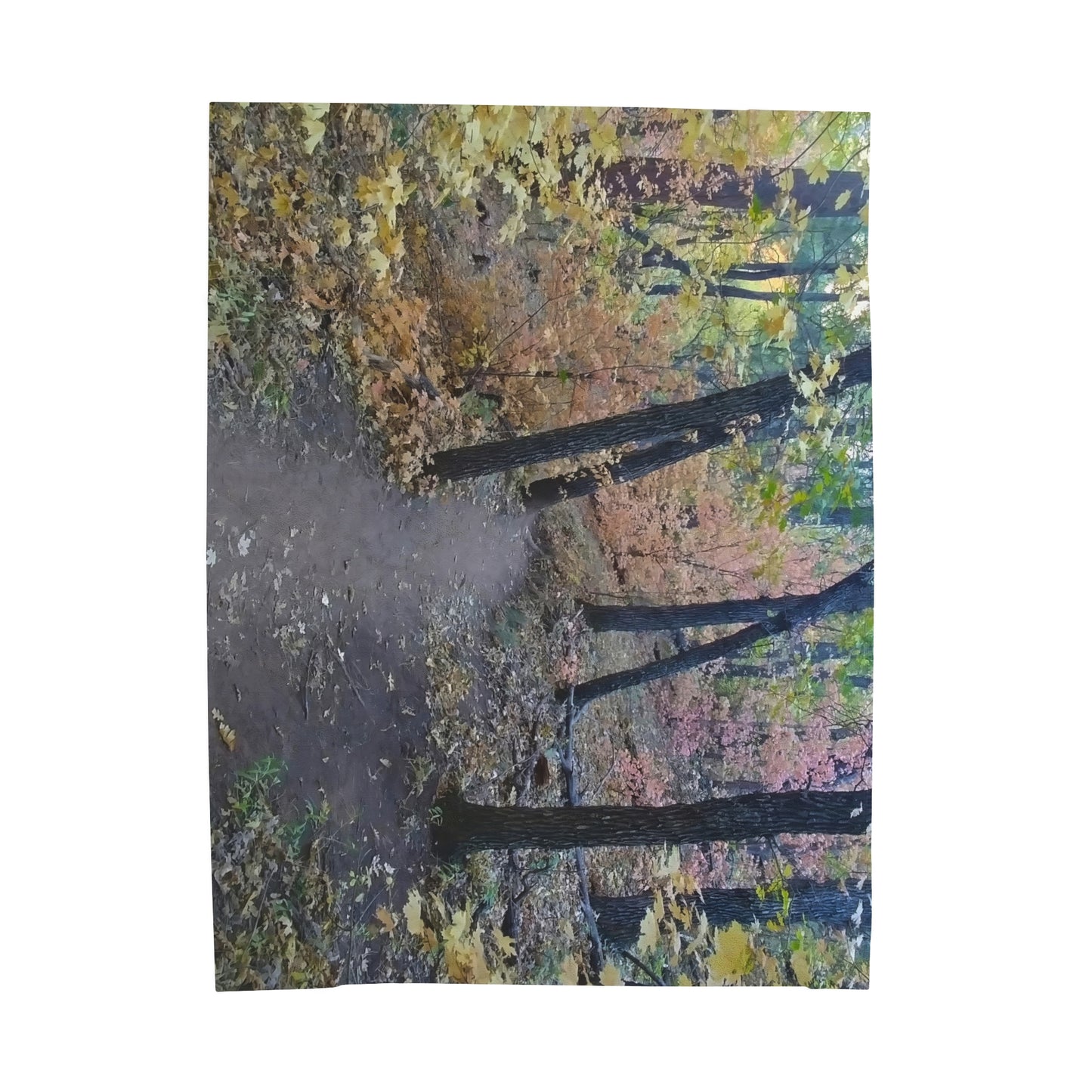 Blanket Velveteen Plush - Boynton Canyon trail (Sedona)