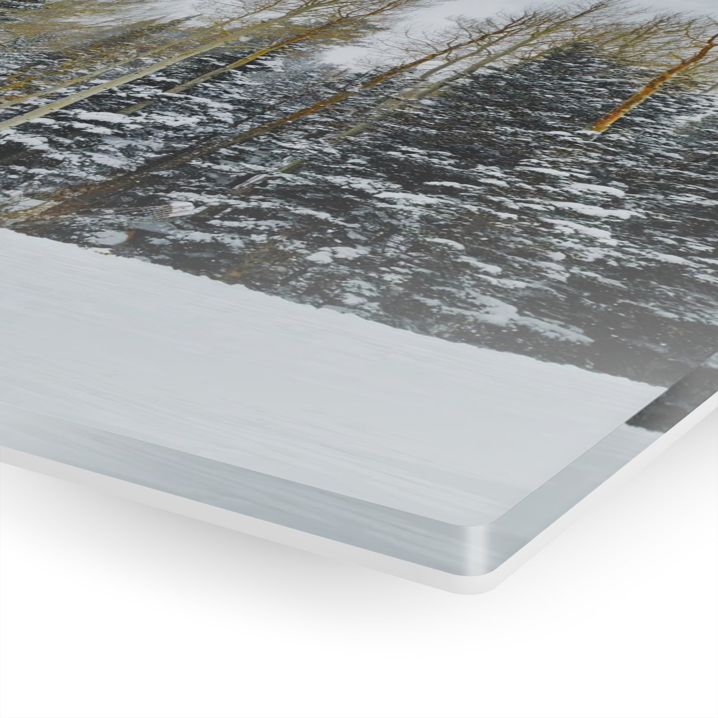 Acrylic Art - Forest Winterscape