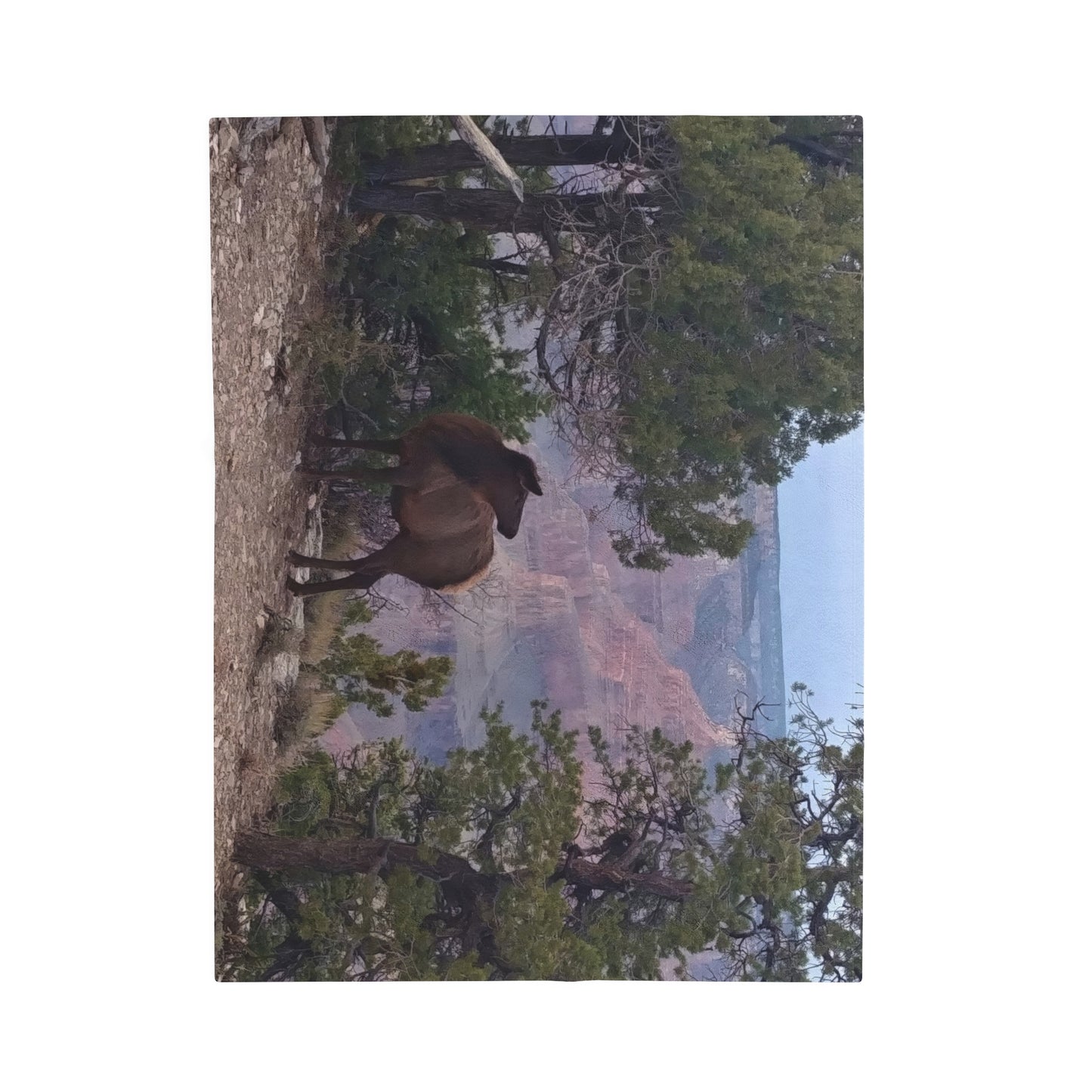 Blanket Velveteen Plush - Elk on rim of Grand Canyon