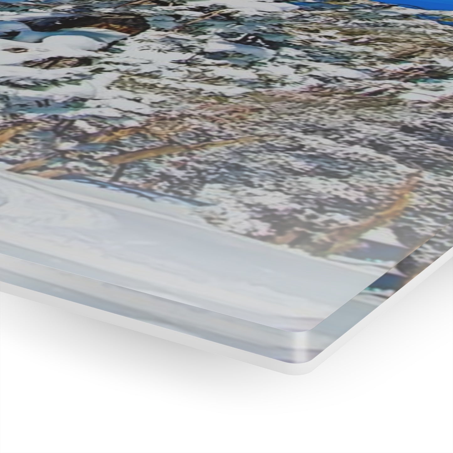 Acrylic Art - Lake Tahoe in Winter