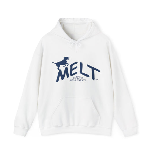 Hooded Sweatshirt (unisex) - MELT   (blue)