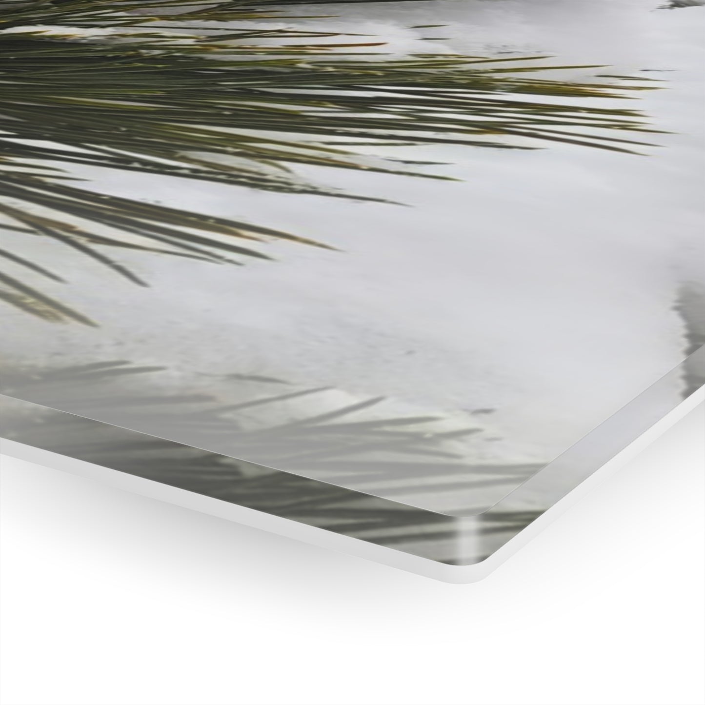 Acrylic Art - Pine cones with snow