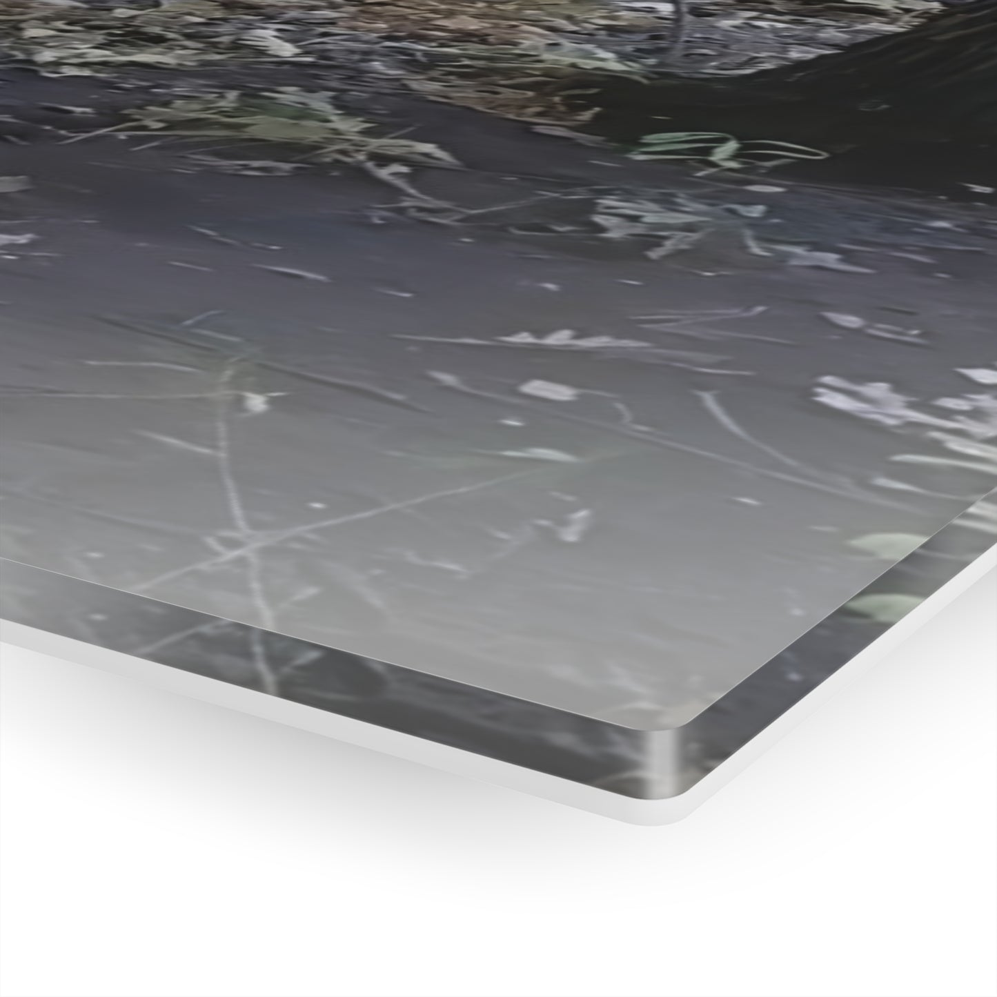 Acrylic Art - Boynton Canyon Trail (Sedona)