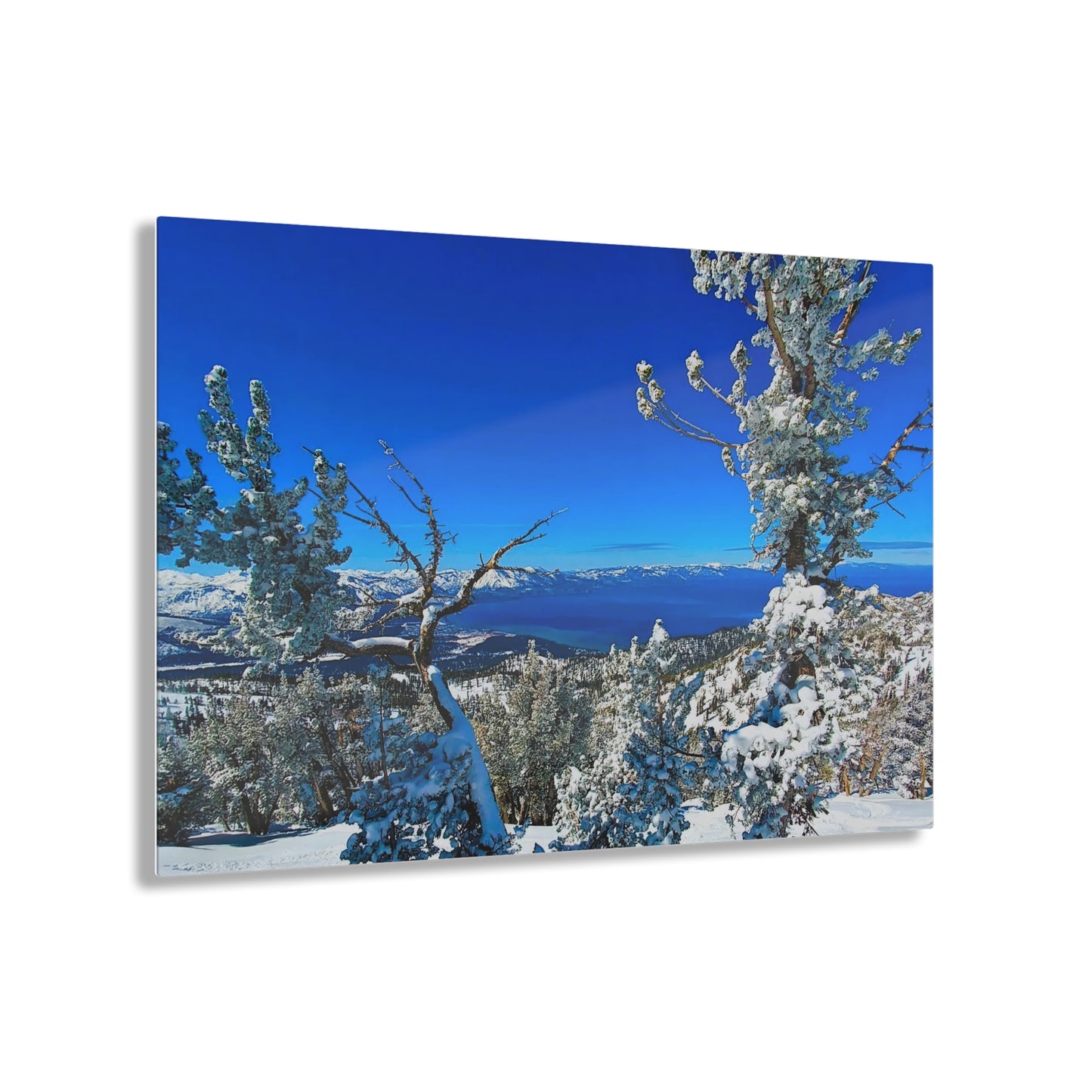 Acrylic Art - Lake Tahoe in Winter