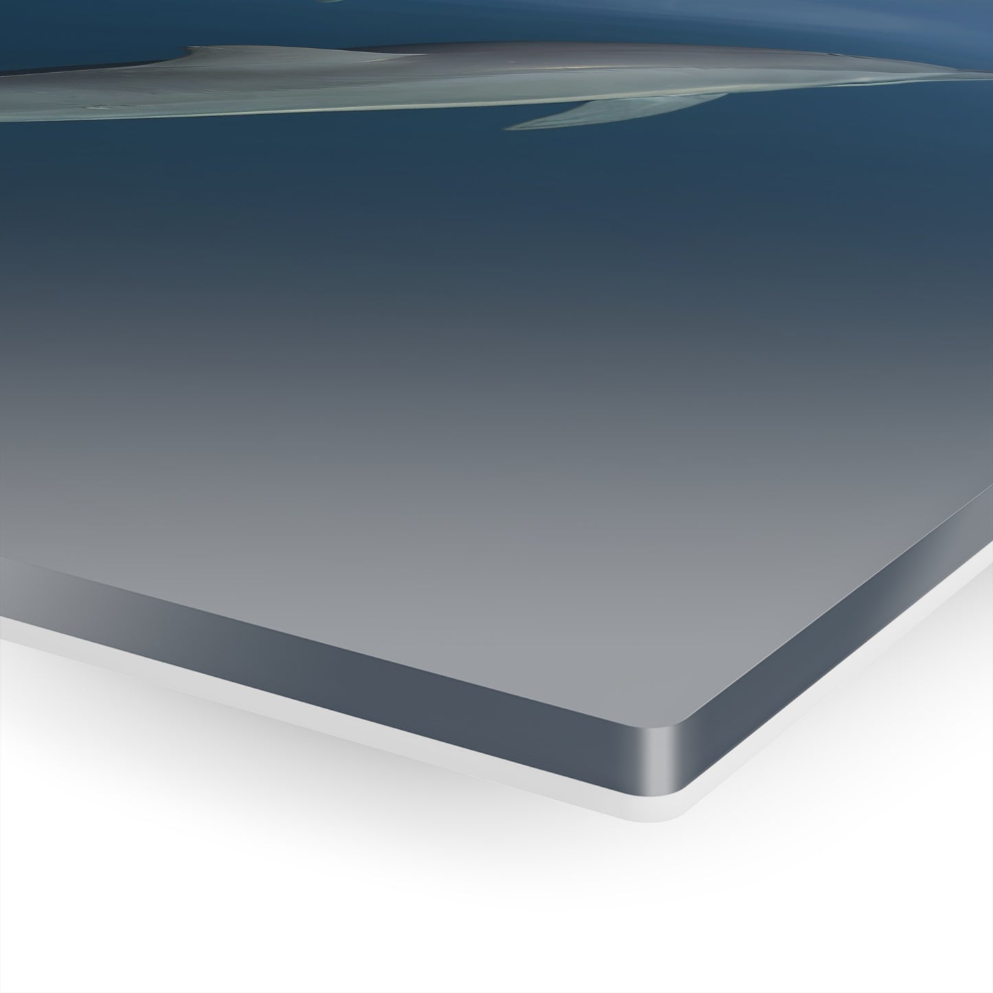 Acrylic Art - Dolphins (Fiji)