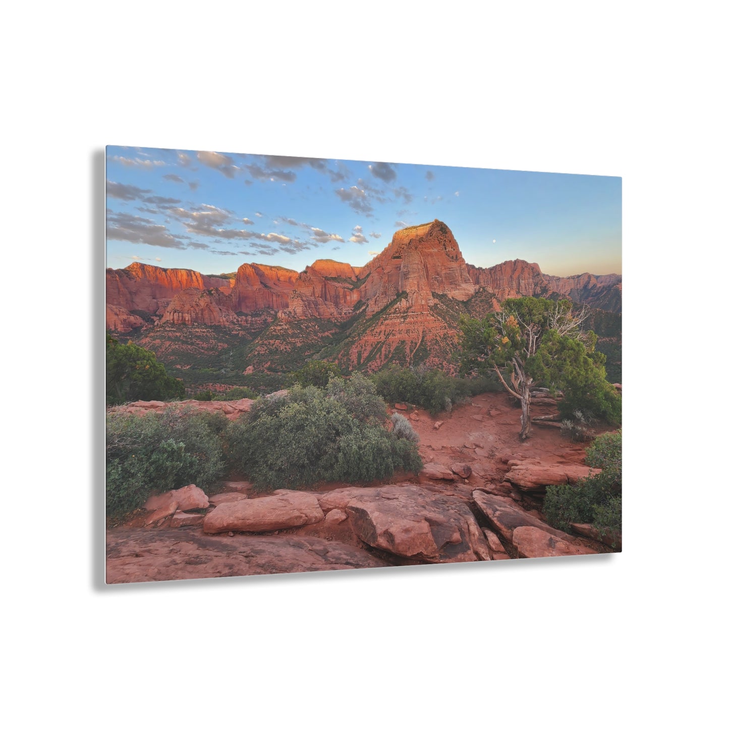 Acrylic Art - Kolob Canyons in Zion National Park