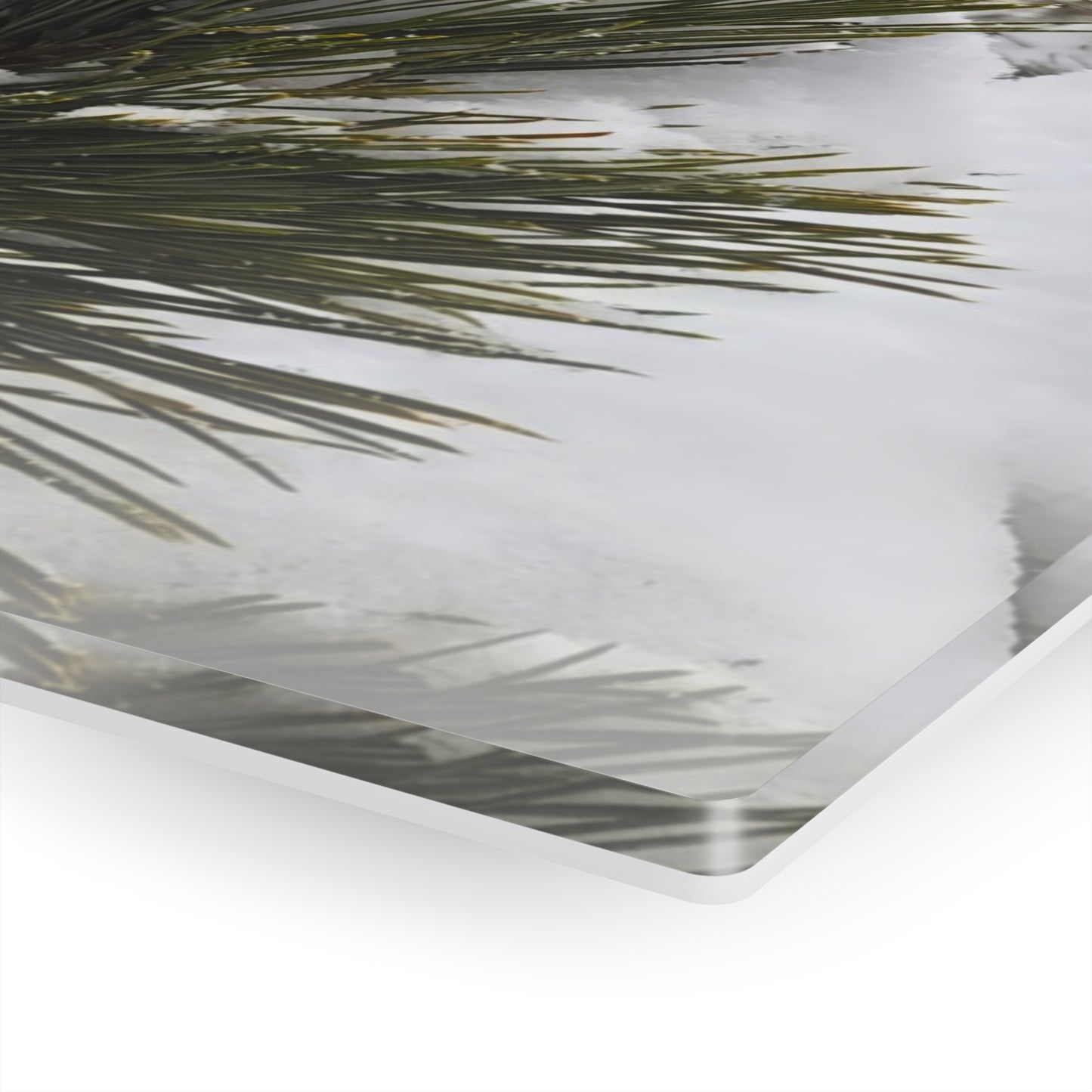 Acrylic Art - Pine cones with snow