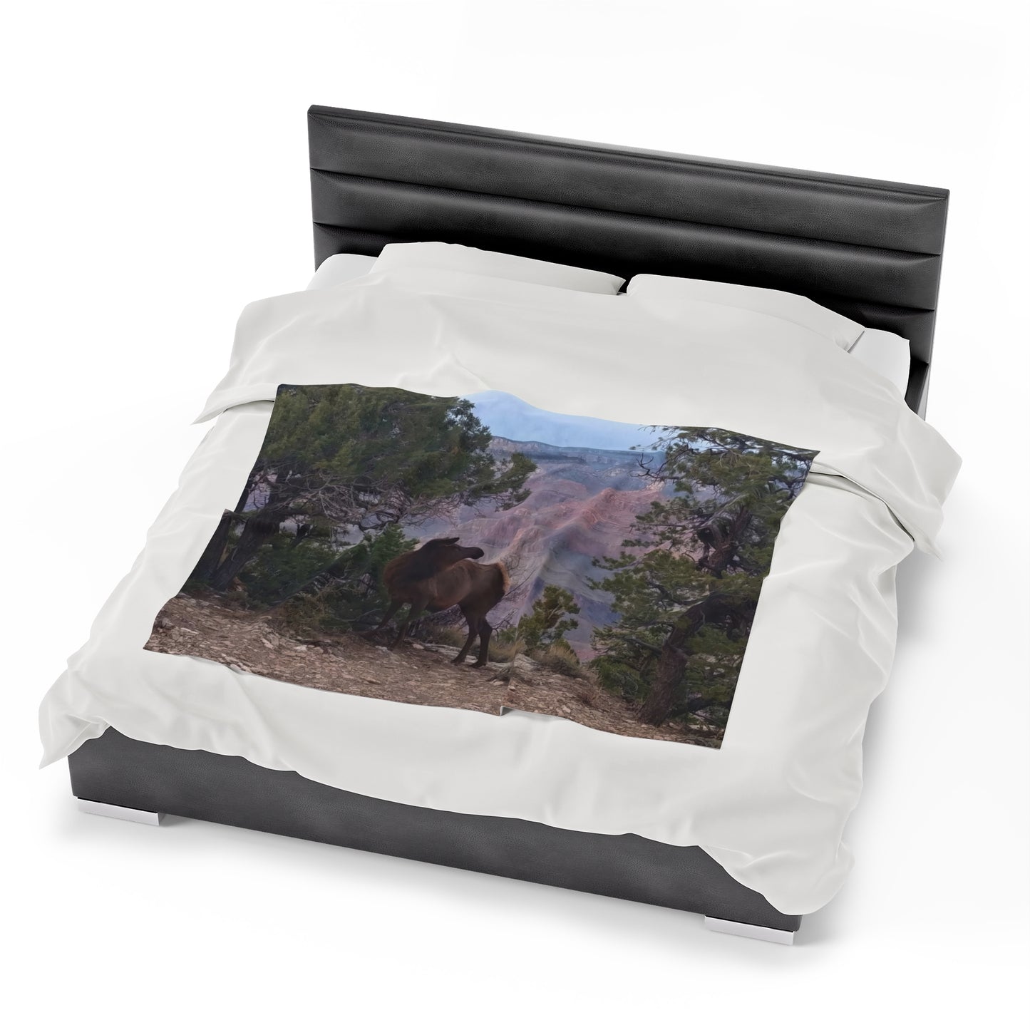 Blanket Velveteen Plush - Elk on rim of Grand Canyon