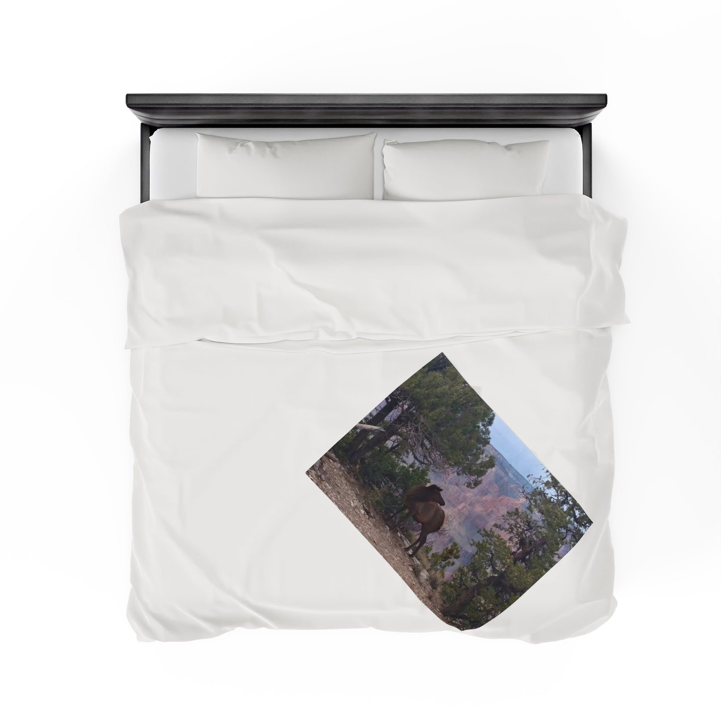 Blanket Velveteen Plush - Elk on rim of Grand Canyon