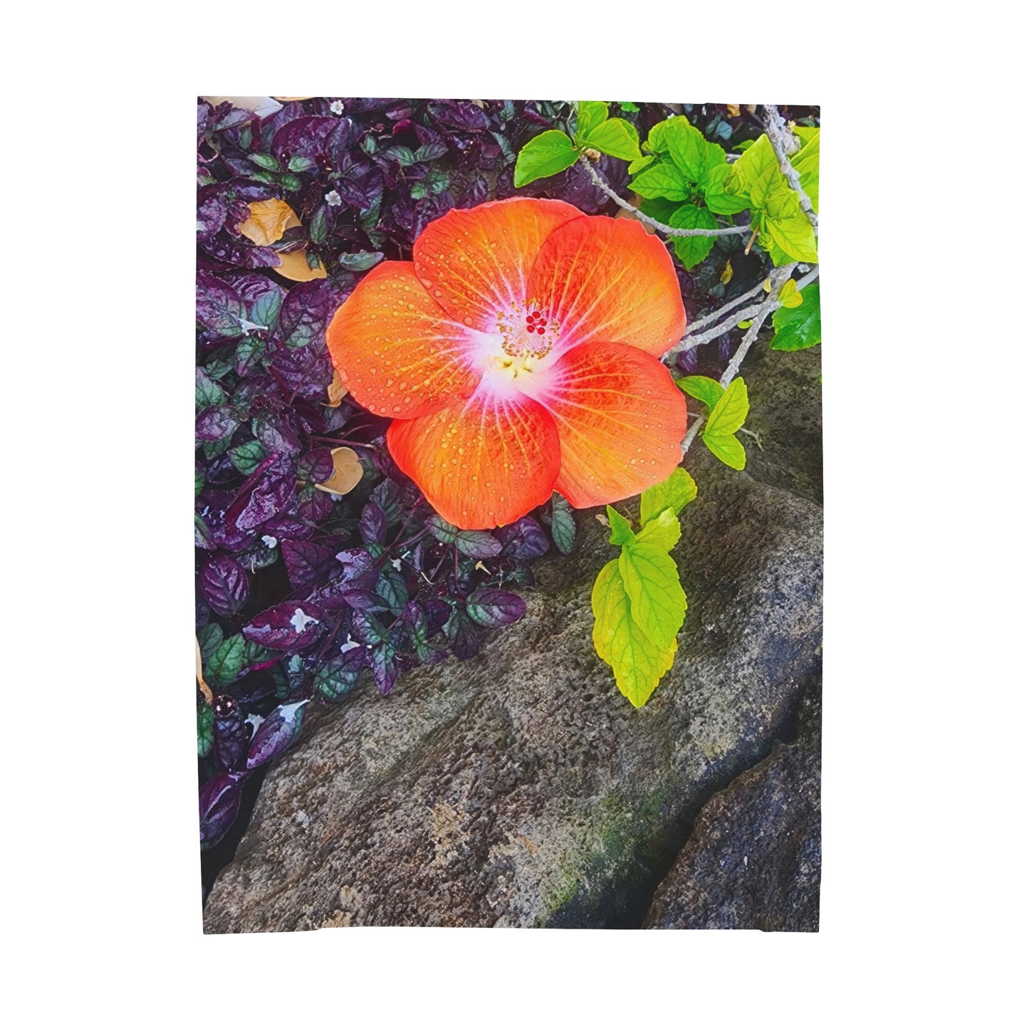 Blanket Velveteen Plush - Hibiscus (Kauai)