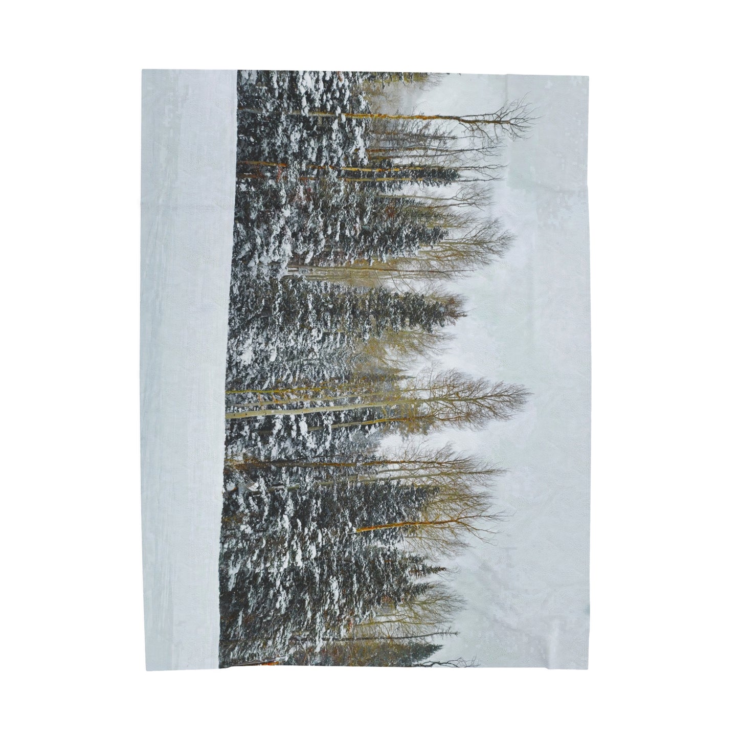 Blanket Velveteen Plush - Forest Winterscape