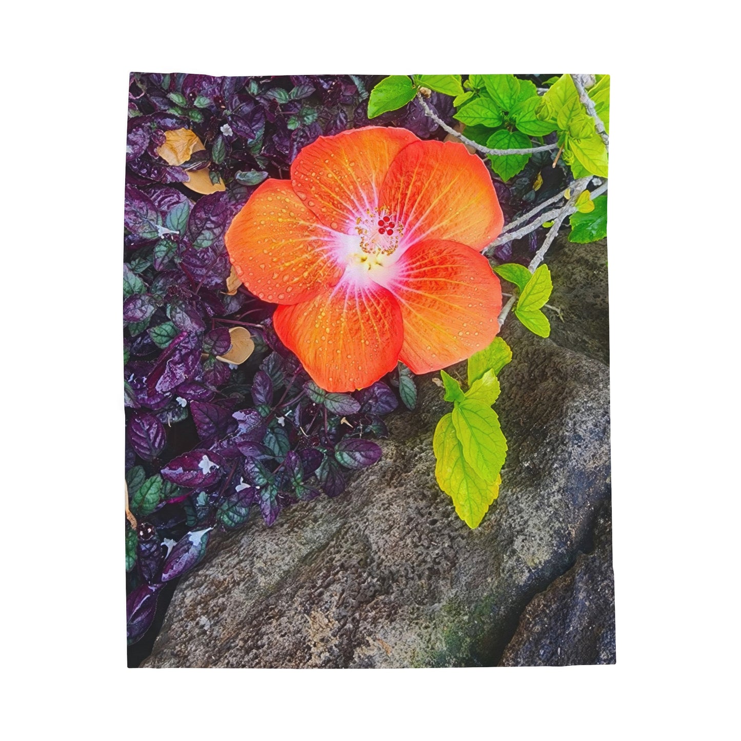 Blanket Velveteen Plush - Hibiscus (Kauai)