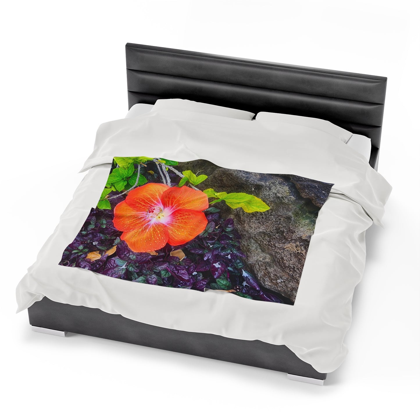 Blanket Velveteen Plush - Hibiscus (Kauai)
