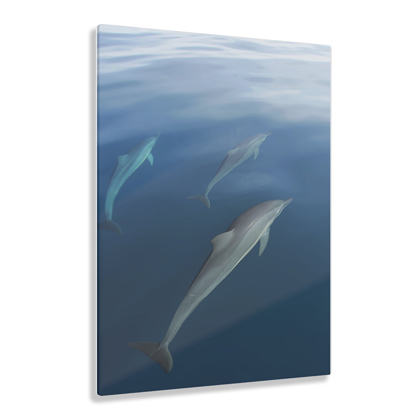 Acrylic Art - Dolphins (Fiji)