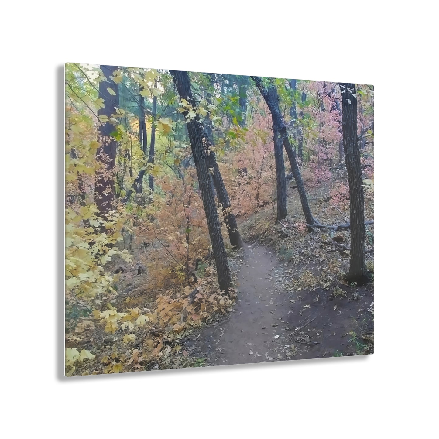 Acrylic Art - Boynton Canyon Trail (Sedona)