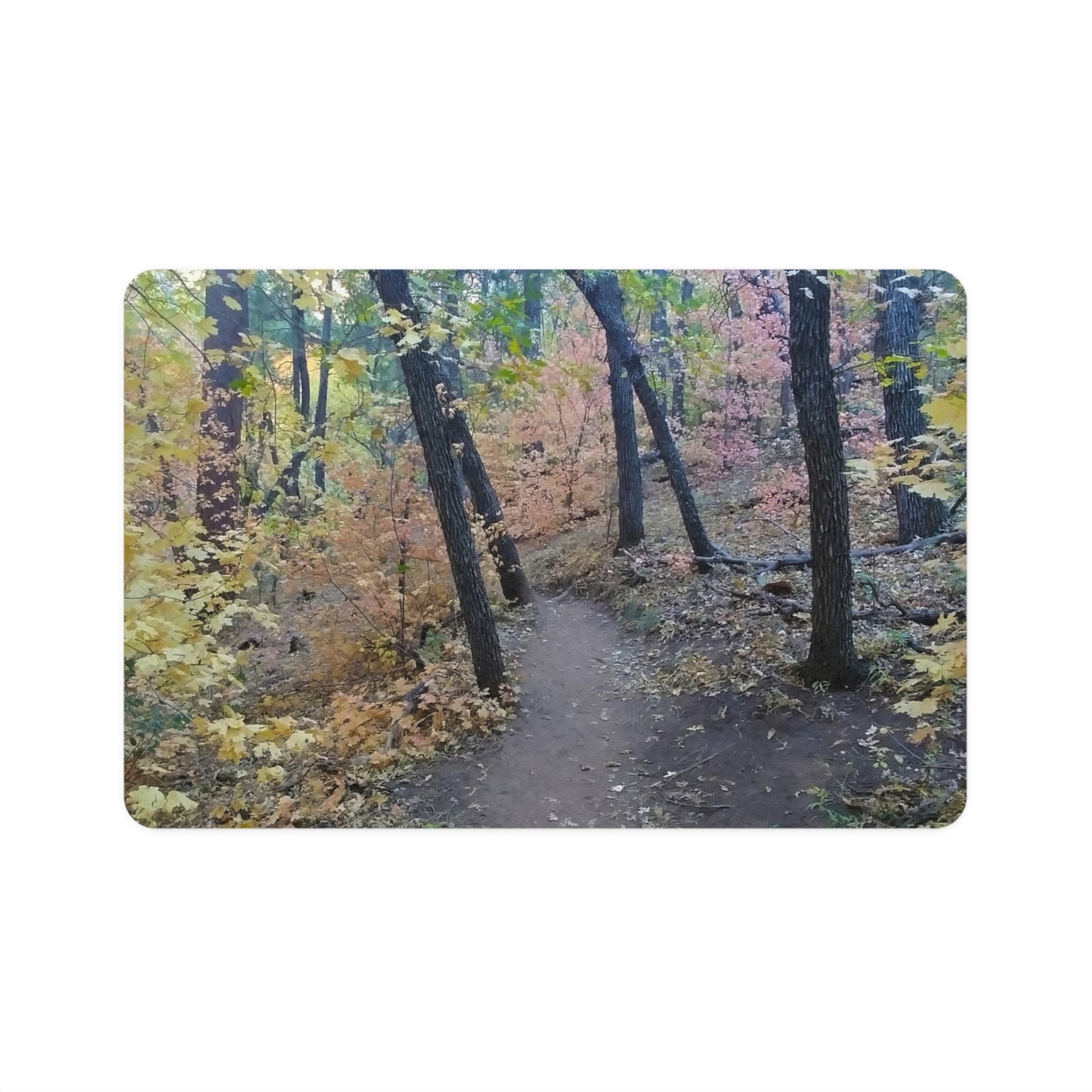 Dog Food Mat - Hiking Trail (Sedona)