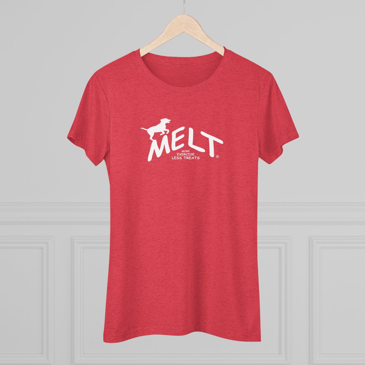 Women's Triblend Tee - MELT for dogs