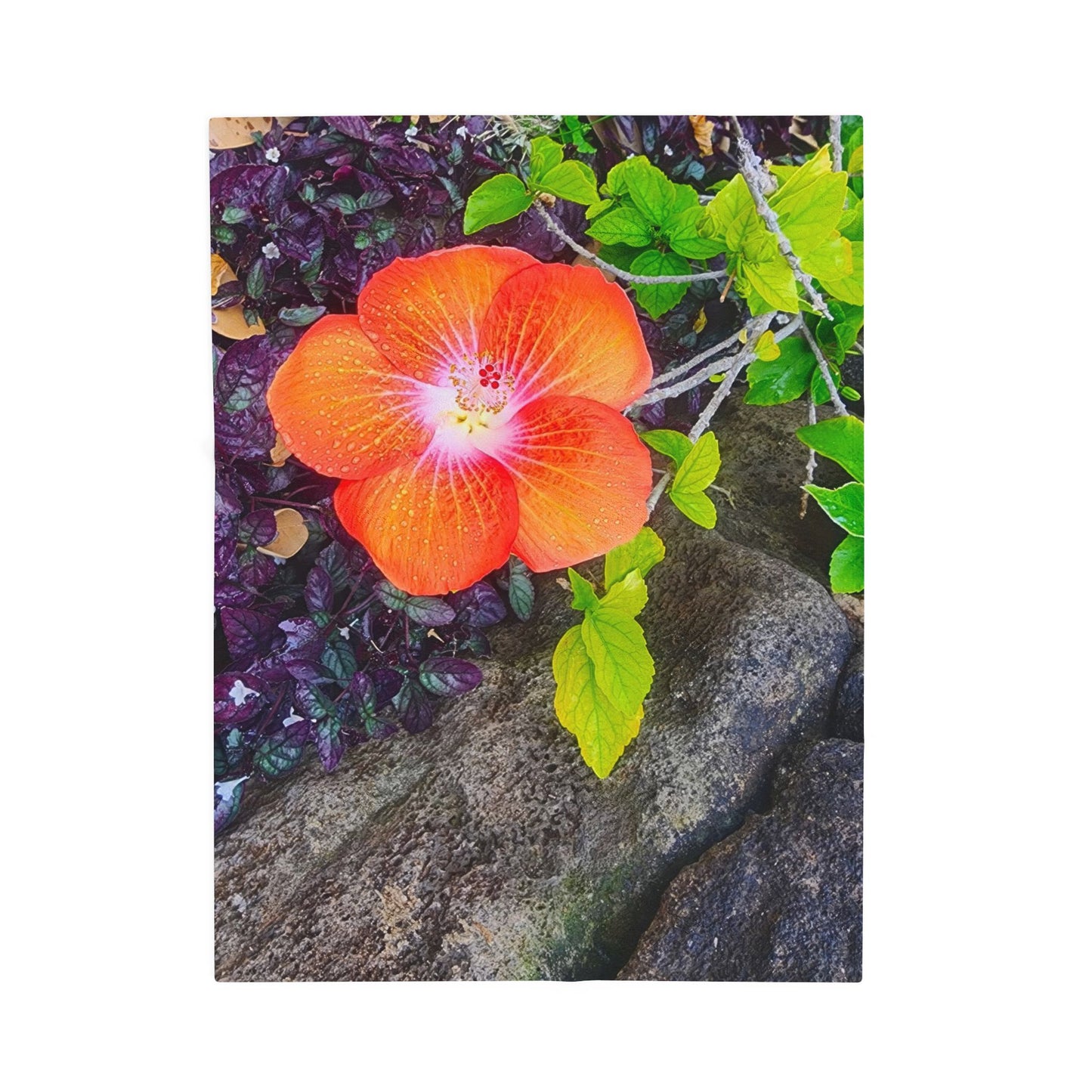 Blanket  - Hawaiian Hibiscus Flower