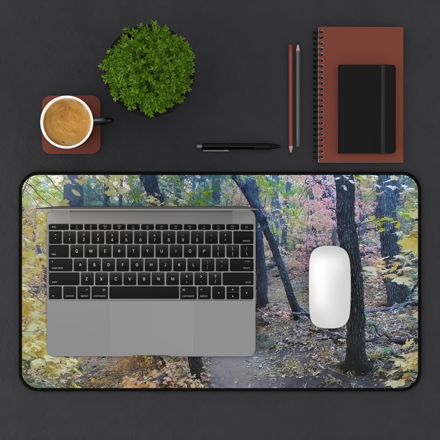 Desk Mat - Hiking Trail (Sedona)