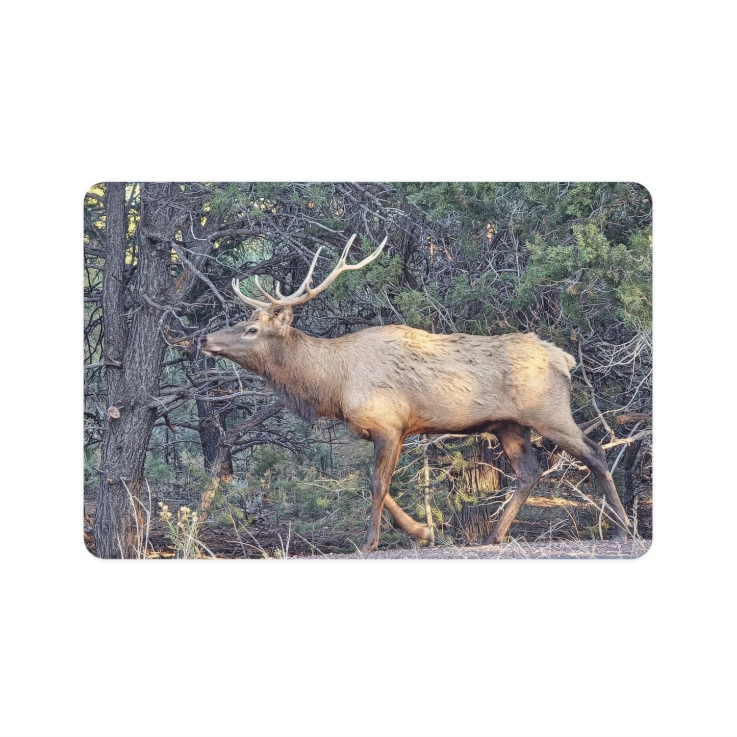 Dog Food Mat - Elk