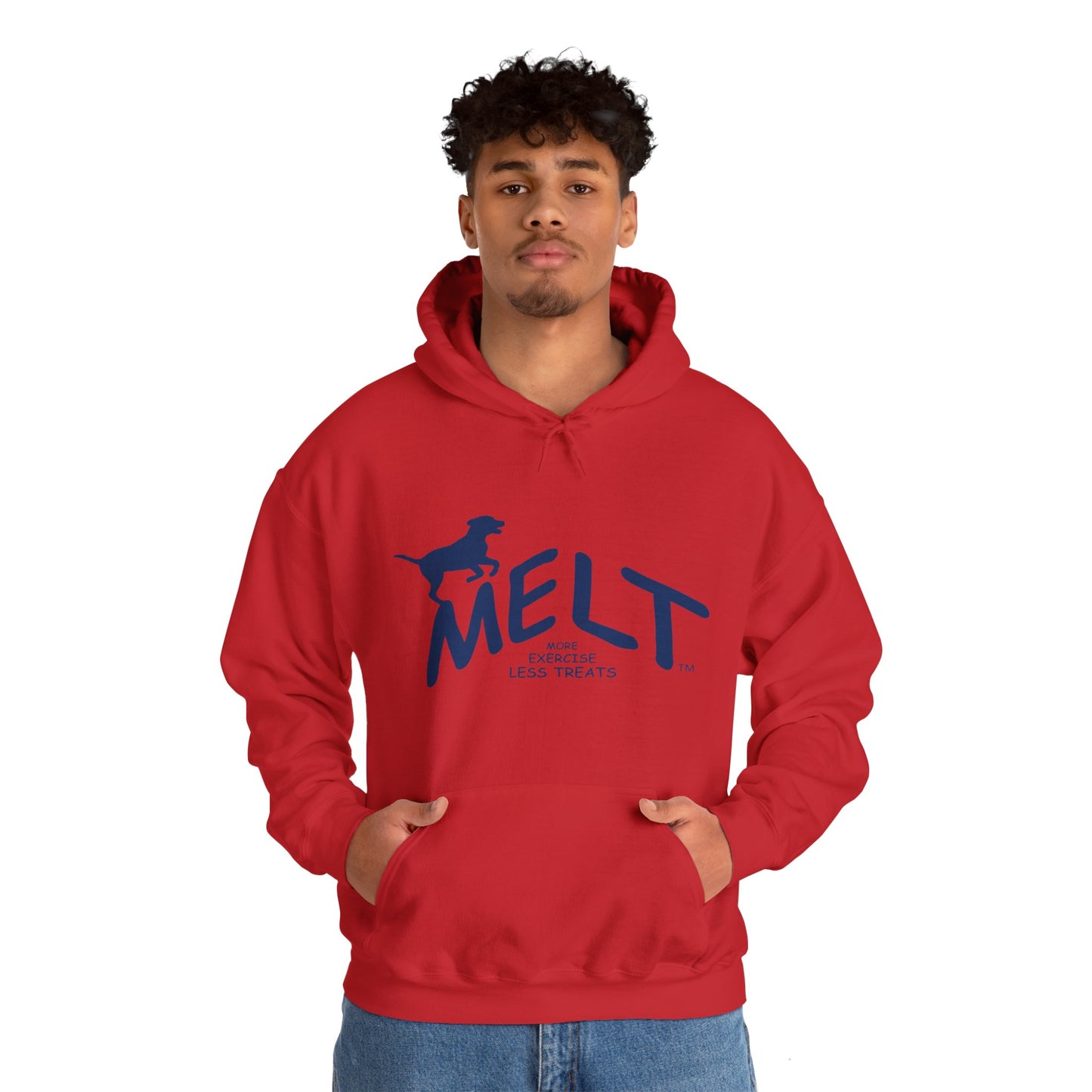 Hooded Sweatshirt (unisex) - MELT   (blue)