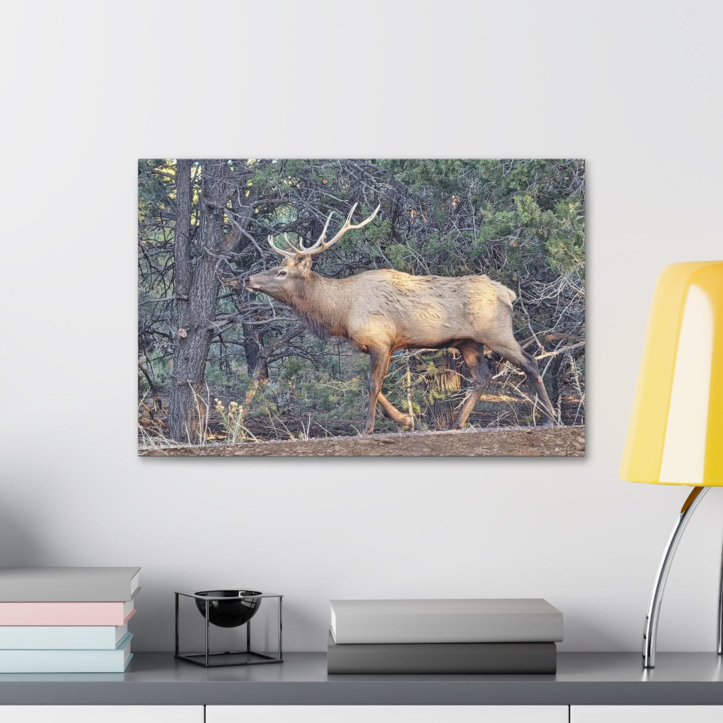 Canvas Wall Art - Elk