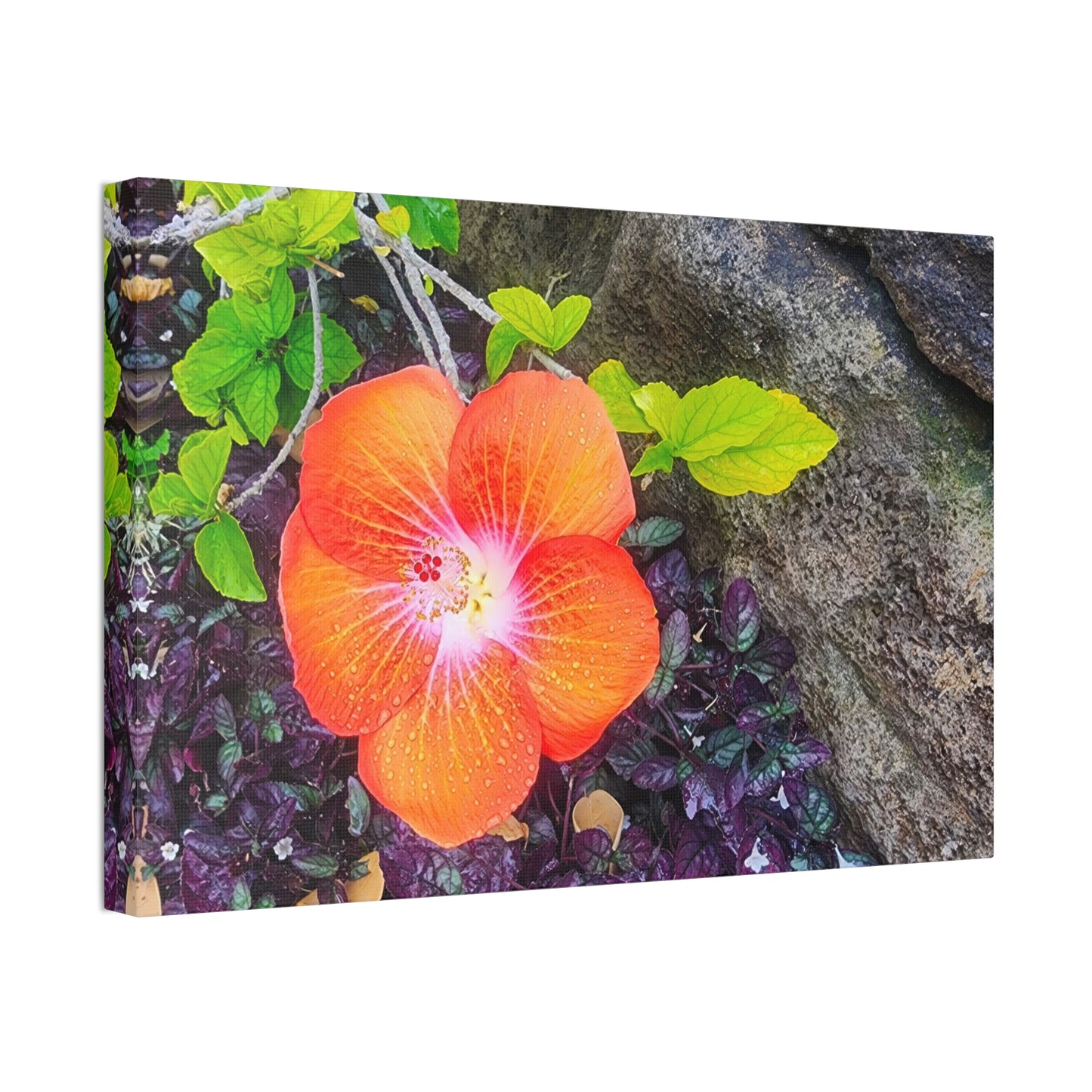 Canvas Wall Art - Hawaiian Hibiscus Flower