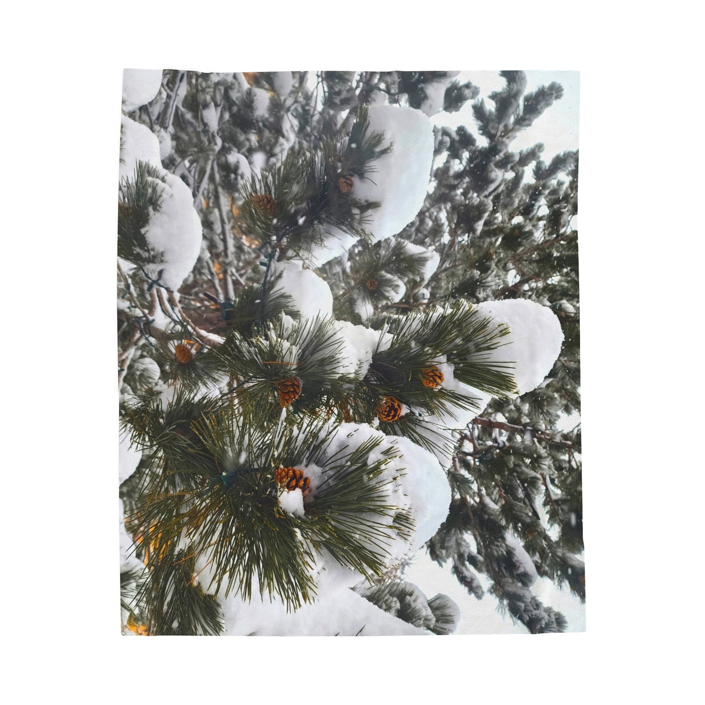 Blanket Velveteen Plush - Pine cones with snow