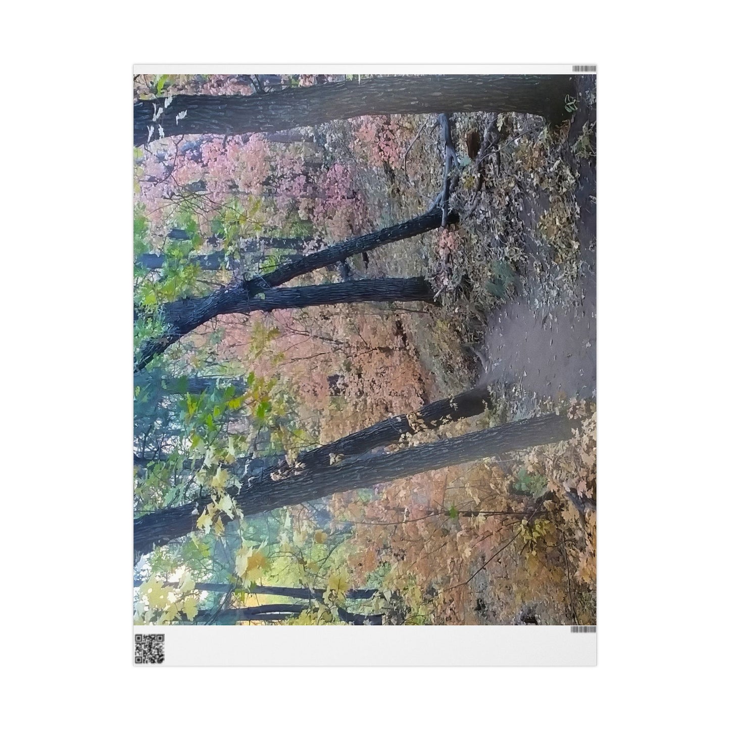 Wrapping Paper - Hiking Trail  (Sedona)